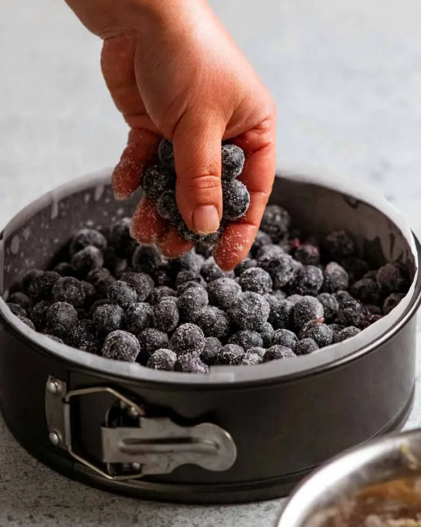 Blueberry Crumb Cake 2