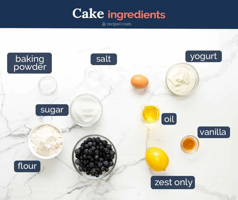 Custard Cake With Blueberries - A Delightful Dessert